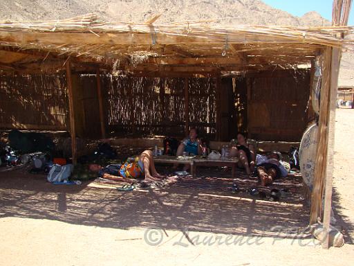 Camel diving safari (9).JPG